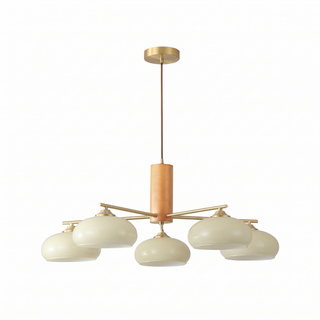 Persa oval metal and glass chandelier on pure white