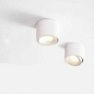 White cylindrical adjustable ceiling spotlight